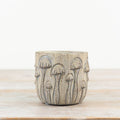 Toadstool Planter, 10.5cm