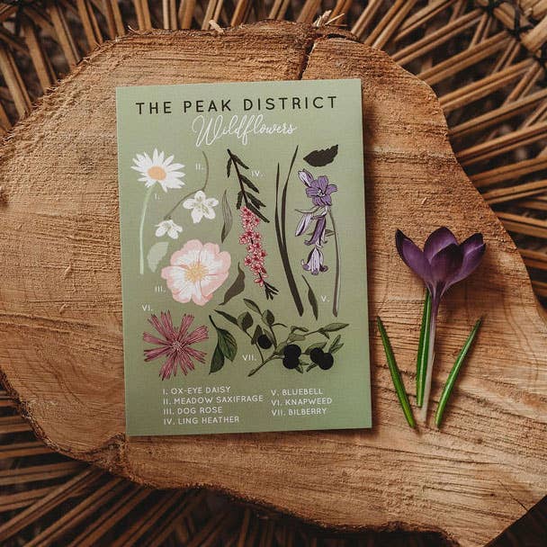 The Peak District Wild Flower Study Everyday Greeting Card