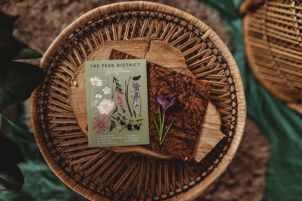 The Peak District Wild Flower Study Everyday Greeting Card