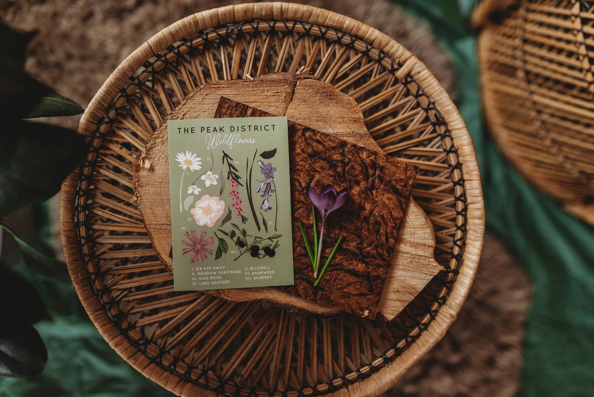 The Peak District Wild Flower Study Everyday Greeting Card